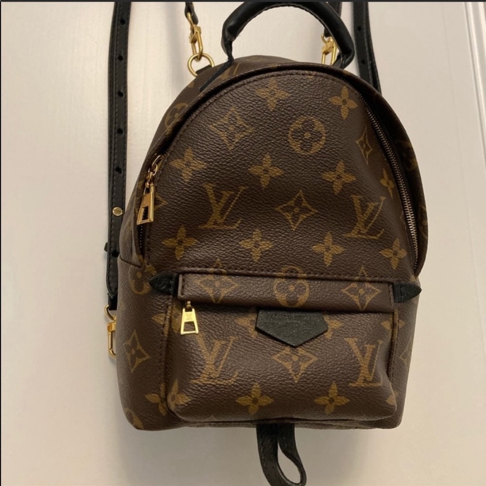 LV Palmspring Mini